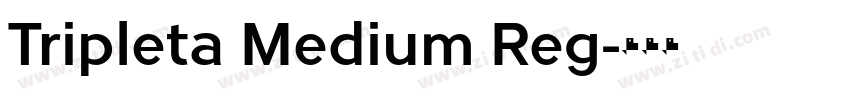 Tripleta Medium Reg字体转换 Tripleta Medium Reg字体转换